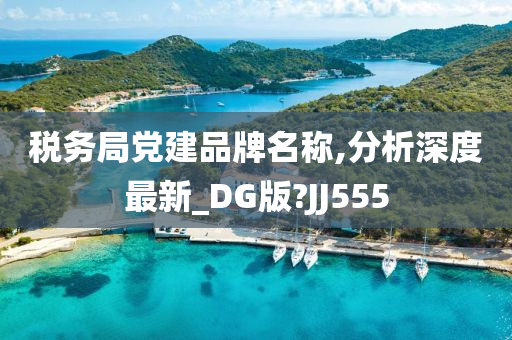 税务局党建品牌名称,分析深度最新_DG版?JJ555