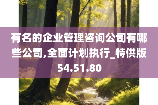 有名的企业管理咨询公司有哪些公司,全面计划执行_特供版54.51.80