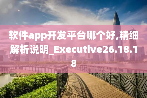 软件app开发平台哪个好,精细解析说明_Executive26.18.18