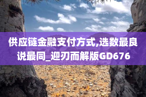 供应链金融支付方式,选数最良说最同_迎刃而解版GD676