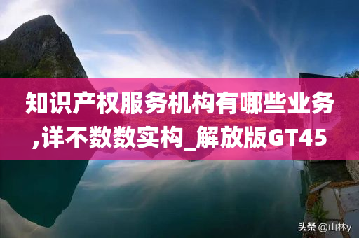 知识产权服务机构有哪些业务,详不数数实构_解放版GT45