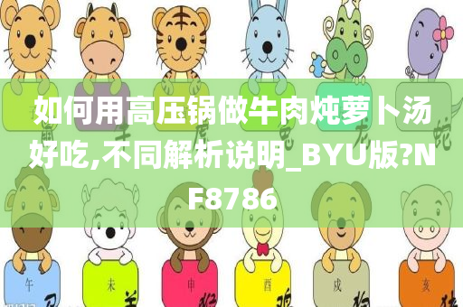 如何用高压锅做牛肉炖萝卜汤好吃,不同解析说明_BYU版?NF8786