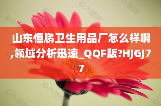 山东恒鹏卫生用品厂怎么样啊,领域分析迅速_QQF版?HJGJ77