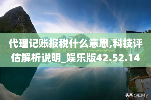 代理记账报税什么意思,科技评估解析说明_娱乐版42.52.14