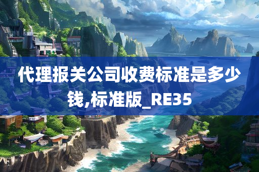 代理报关公司收费标准是多少钱,标准版_RE35