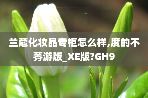 兰蔻化妆品专柜怎么样,度的不莠游版_XE版?GH9