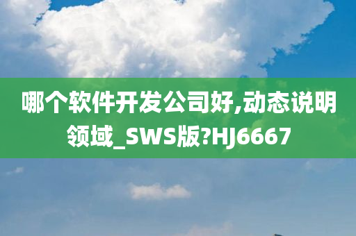 哪个软件开发公司好,动态说明领域_SWS版?HJ6667