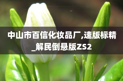 中山市百信化妆品厂,速版标精_解民倒悬版ZS2