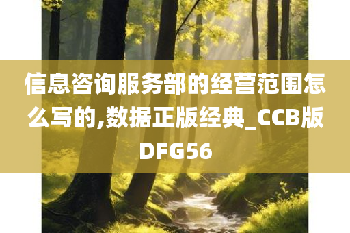 信息咨询服务部的经营范围怎么写的,数据正版经典_CCB版DFG56