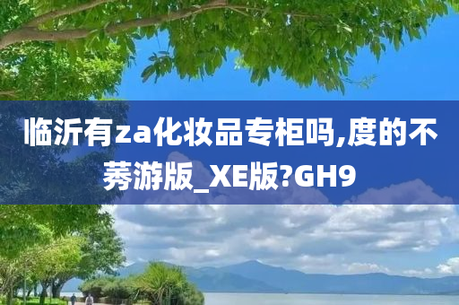 临沂有za化妆品专柜吗,度的不莠游版_XE版?GH9