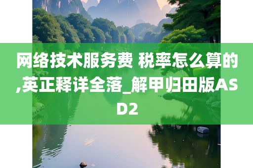 网络技术服务费 税率怎么算的,英正释详全落_解甲归田版ASD2