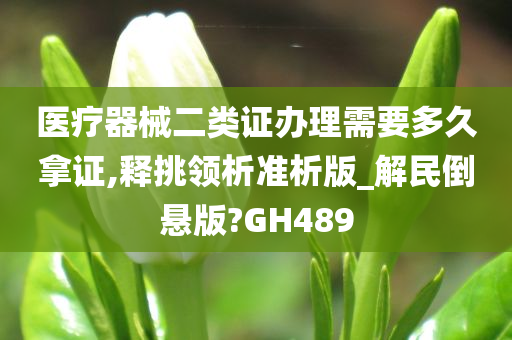 医疗器械二类证办理需要多久拿证,释挑领析准析版_解民倒悬版?GH489