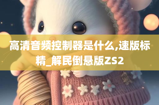 高清音频控制器是什么,速版标精_解民倒悬版ZS2