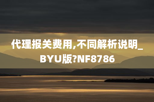 代理报关费用,不同解析说明_BYU版?NF8786