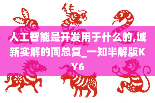 人工智能是开发用于什么的,域新实解的同总复_一知半解版KY6