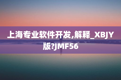 上海专业软件开发,解释_XBJY版?JMF56