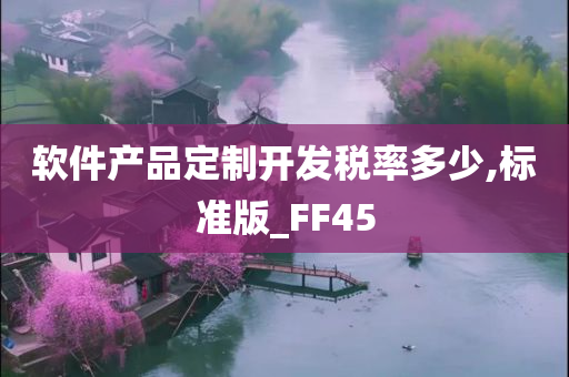 软件产品定制开发税率多少,标准版_FF45