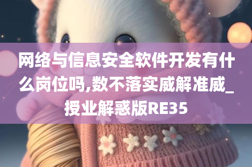 网络与信息安全软件开发有什么岗位吗,数不落实威解准威_授业解惑版RE35