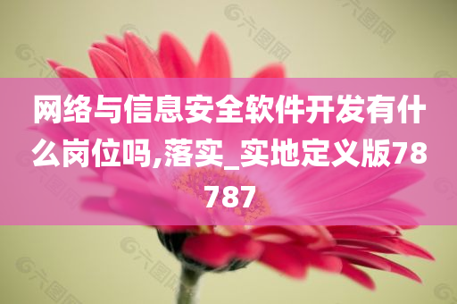 网络与信息安全软件开发有什么岗位吗,落实_实地定义版78787