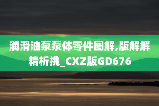 润滑油泵泵体零件图解,版解解精析挑_CXZ版GD676