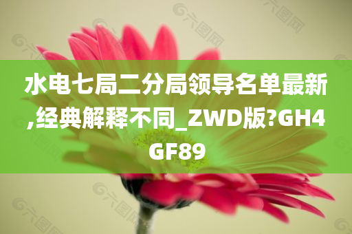 水电七局二分局领导名单最新,经典解释不同_ZWD版?GH4GF89