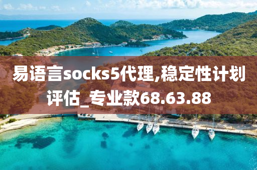 易语言socks5代理,稳定性计划评估_专业款68.63.88