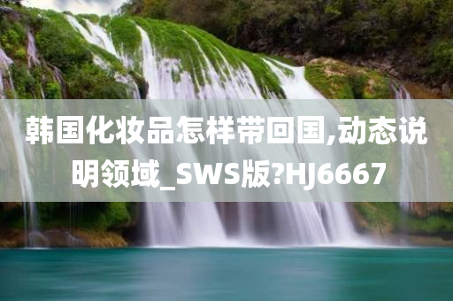 韩国化妆品怎样带回国,动态说明领域_SWS版?HJ6667