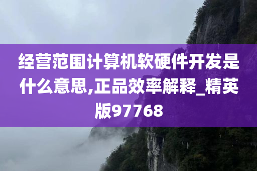 经营范围计算机软硬件开发是什么意思,正品效率解释_精英版97768