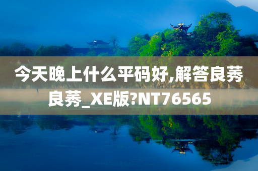 今天晚上什么平码好,解答良莠良莠_XE版?NT76565