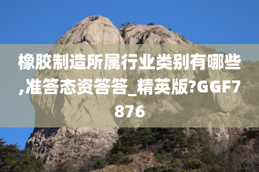 橡胶制造所属行业类别有哪些,准答态资答答_精英版?GGF7876