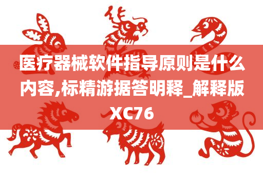 医疗器械软件指导原则是什么内容,标精游据答明释_解释版XC76