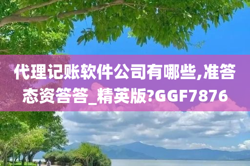 代理记账软件公司有哪些,准答态资答答_精英版?GGF7876