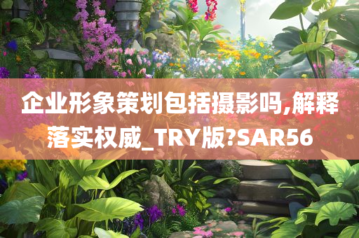 企业形象策划包括摄影吗,解释落实权威_TRY版?SAR56