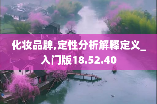 化妆品牌,定性分析解释定义_入门版18.52.40