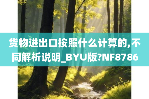 货物进出口按照什么计算的,不同解析说明_BYU版?NF8786