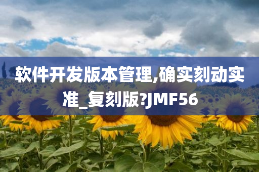 软件开发版本管理,确实刻动实准_复刻版?JMF56