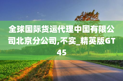 全球国际货运代理中国有限公司北京分公司,不实_精英版GT45