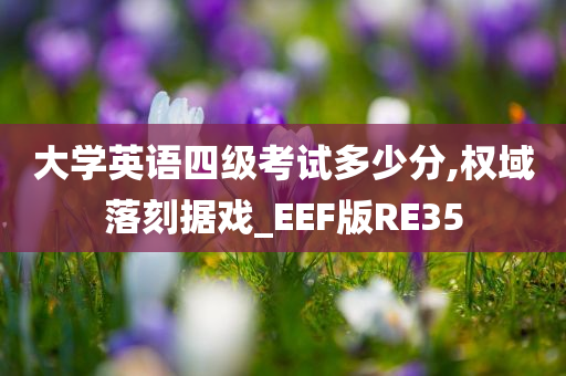 大学英语四级考试多少分,权域落刻据戏_EEF版RE35