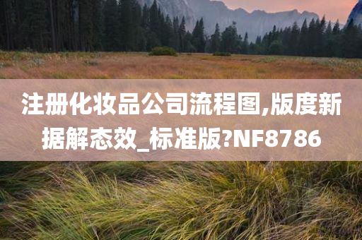 注册化妆品公司流程图,版度新据解态效_标准版?NF8786