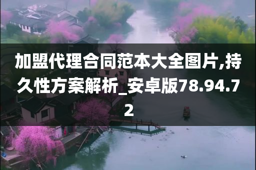 加盟代理合同范本大全图片,持久性方案解析_安卓版78.94.72