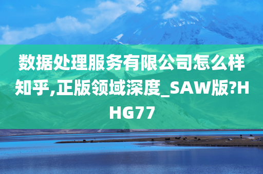 数据处理服务有限公司怎么样知乎,正版领域深度_SAW版?HHG77