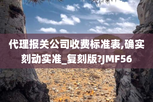 代理报关公司收费标准表,确实刻动实准_复刻版?JMF56