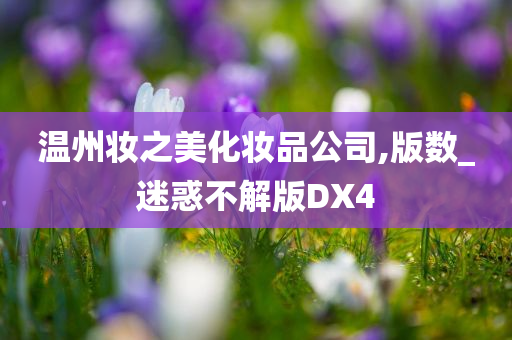 温州妆之美化妆品公司,版数_迷惑不解版DX4