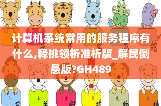 计算机系统常用的服务程序有什么,释挑领析准析版_解民倒悬版?GH489