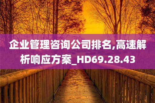 企业管理咨询公司排名,高速解析响应方案_HD69.28.43