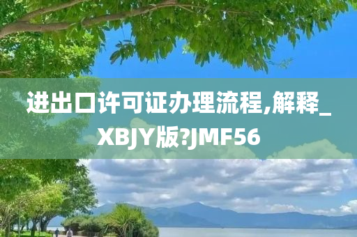 进出口许可证办理流程,解释_XBJY版?JMF56