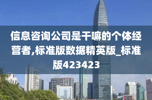 信息咨询公司是干嘛的个体经营者,标准版数据精英版_标准版423423