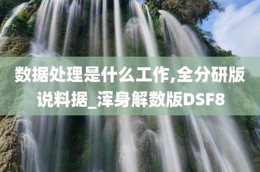 数据处理是什么工作,全分研版说料据_浑身解数版DSF8