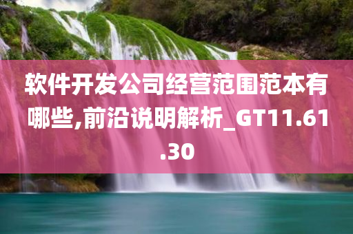 软件开发公司经营范围范本有哪些,前沿说明解析_GT11.61.30