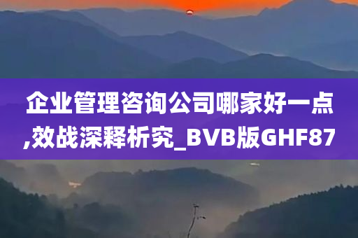 企业管理咨询公司哪家好一点,效战深释析究_BVB版GHF87